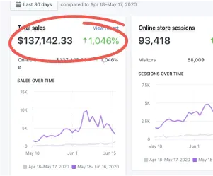 Shopify analytics: total sales $137,142 with a 1,046% increase