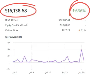 Shopify analytics: total sales $16,138 up 636%
